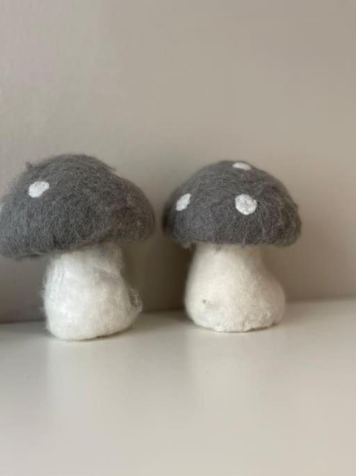 La Taniere De L'Ours - L'Alcove De L'Ours - Chambre Cosy 2 Pers Dambach Zewnętrze zdjęcie